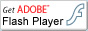Flash Player